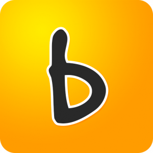171025130638_bidorbuy-logo-300x300